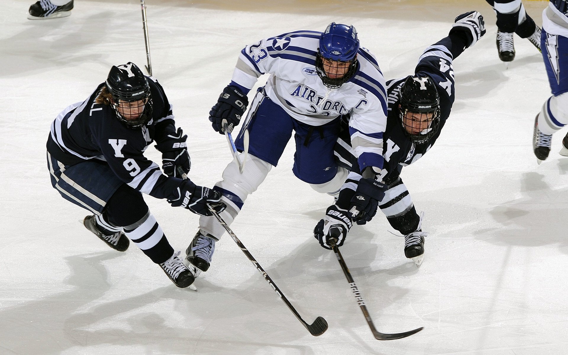 上海队连续三场连胜，士气高涨冲击冠军，上海队夺冠阵容
